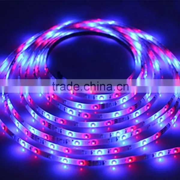 Rgbw Led Strip Rgb Led Trip Light photo-5