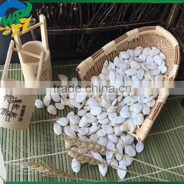 Snow White Pumpkin Seed in Shell photo-3