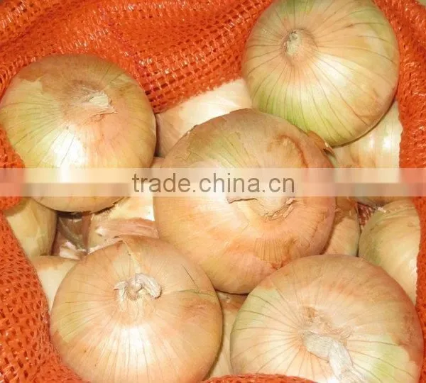 Onion photo-4
