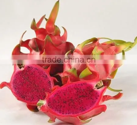 Red Heart Fresh Dragon Fruit