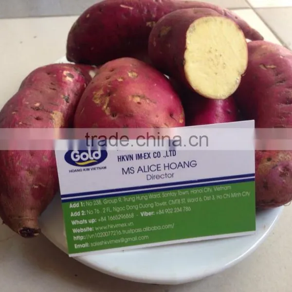 Sweet Potato for All Market photo-5