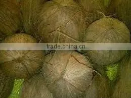 Whole Fresh Matured Coconut