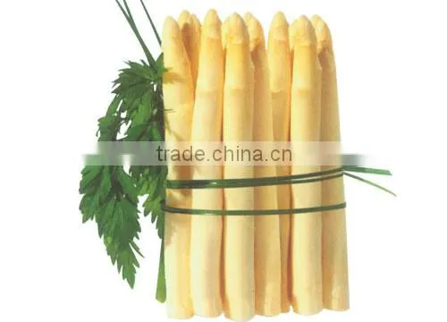 Spanish White Canned Asparagus From Navarra