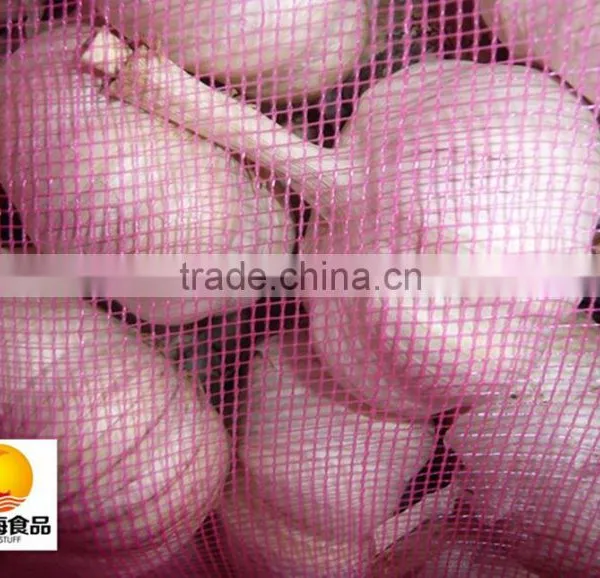 Hot Sale Dried White Garlic Supplier