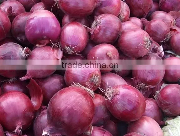 FX-128-3A Hot Sale Onion Peeling Processing Machine photo-6