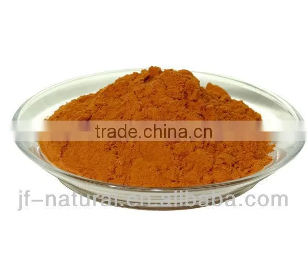 Polyphenol Grape Seed ISO, GMP, HACCP, KOSHER, HALAL Certificated photo-3