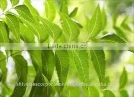Natural Neem Oil for Organic Pesticide photo-2