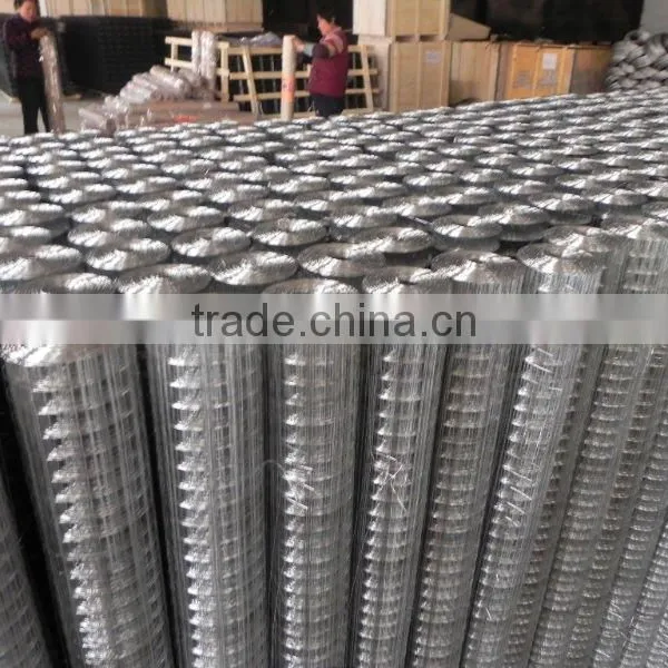 10x10 Welded Wire Mesh photo-3
