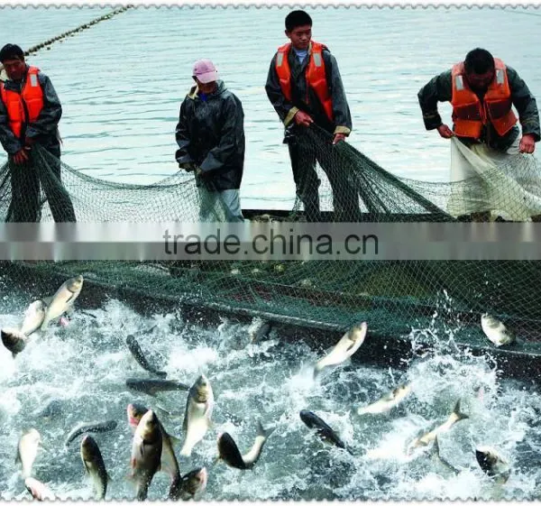 China Factory Anti Slip Used Commercial Gill Net Nylon Monofilament Knotted Fishing Nets for Fish Farming photo-2