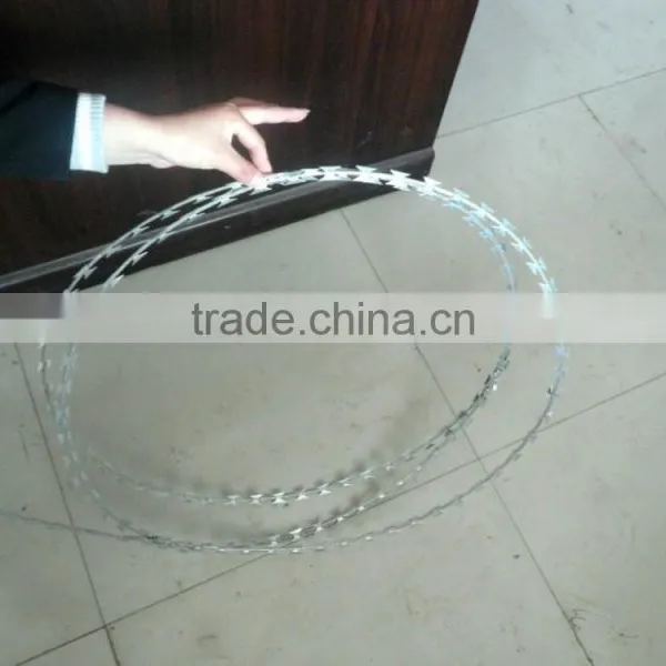 Concertina Razor Wire / Galvanized Concertina Razor Wire / Hight Security Razor Wire Fencing photo-5