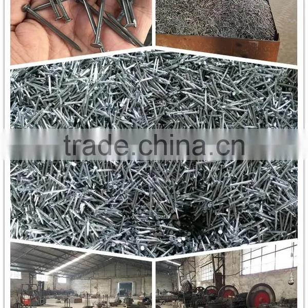 Good Quality Polished Commn Nails Wire Nail Small Package photo-5
