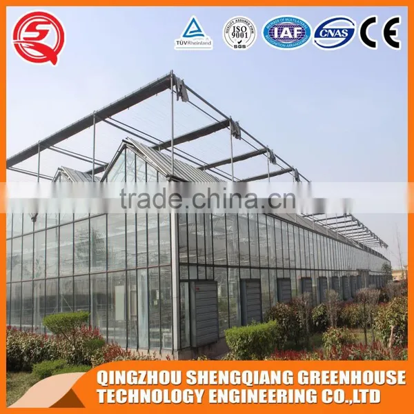 Large Glass Agricultural Greenhouses Indoor Glass Greenhouse Used