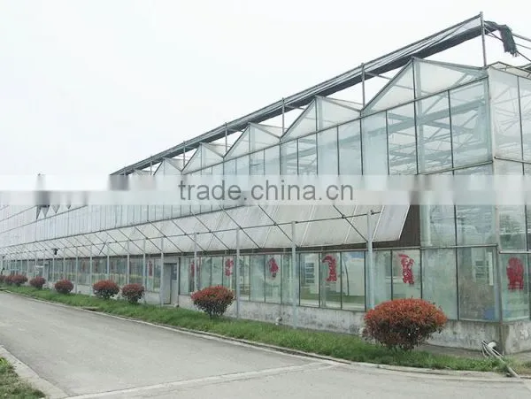 Large Used Commercial Glass Agricultural Greenhouses photo-3