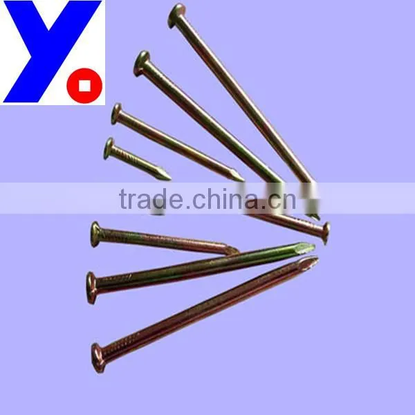 Polished Common Nail Factory Nail photo-2