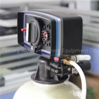 Fleck Valve 5600