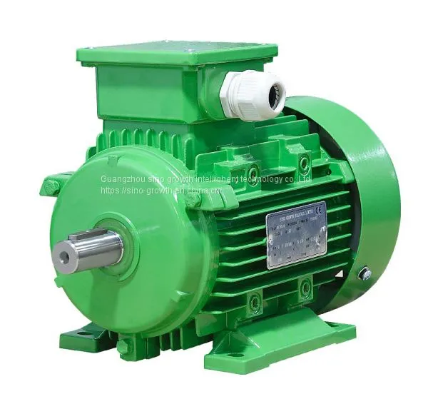 Ie1 Ms Series Three Phase Asynchronous Motor 11kw 132m3-4