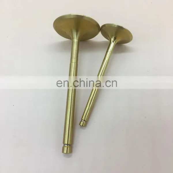Worldwide Oem Quality Fuji High Strength Engine Valve for Mitsubishi 4d32 4d30 4d31 4d34 4d56 photo-6