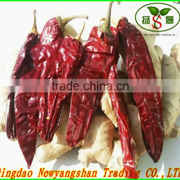 (HOT)small Hot Chili/hot Chilli Pepper/chaotian Chilli photo-3