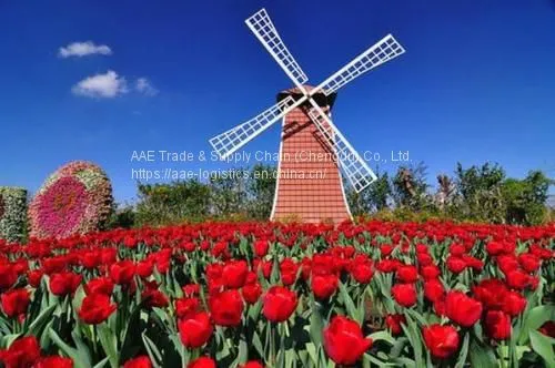 Air Freight - Shipping Direct From Shenzhen (SZX) to Amsterdam (AMS) , Holland. Transfer to European Countries