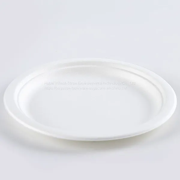 Disposable Biodegradable 9INCH PLATE Take Away Sugarcane photo-2