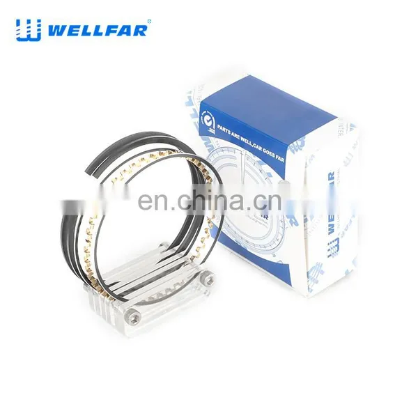 2M5615 Wellfar GM 350CID 5.7L Engine Piston Rings For GM BLAZER, C SERIES, CAPRICE, CENTURY, CHEVELLE, CUSTOM, CUTLASS Car photo-2
