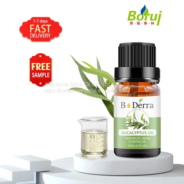 Manufacturer Supplier Aceite Escencial Eucalipto Bulk Eucaliptol Puro 100% Pure Organic Eucalyptus Globulus Essential Oil