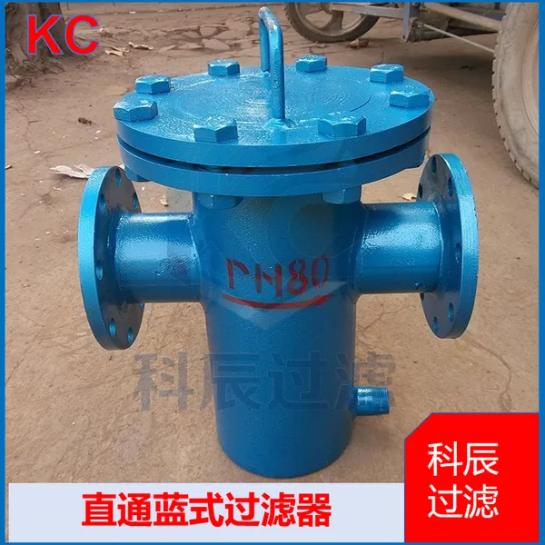 Corrosion Resistant Straight-through Basket Filter for Slurry, Wastewater & Coatings