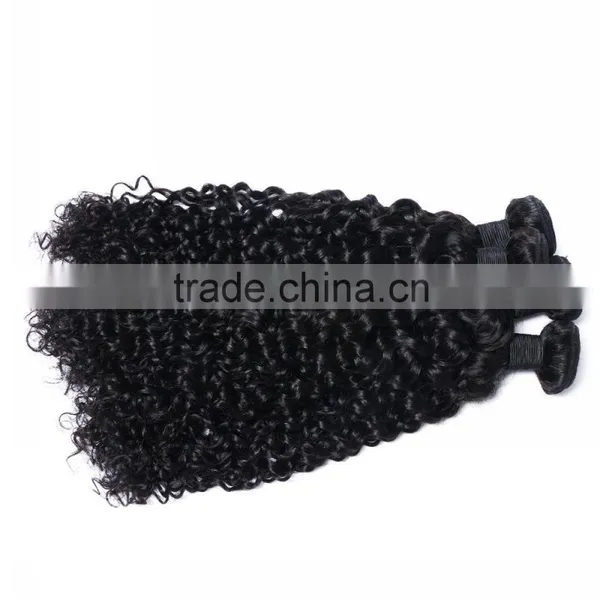 Cheap Bundles of Wet and Wavy Different Types of Wavy Weave Loose Curl Human Indian Remy Hair Weaving photo-5