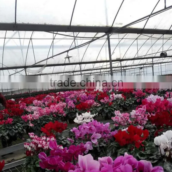 Most Economical Greenhouse Farm for Sale photo-2