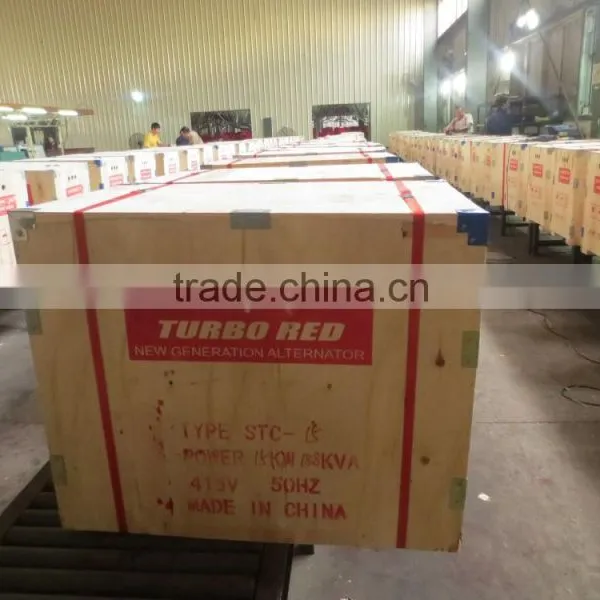 AC Single Phase Output Type 3kva ST STC BRUSH ALTERNATOR photo-5