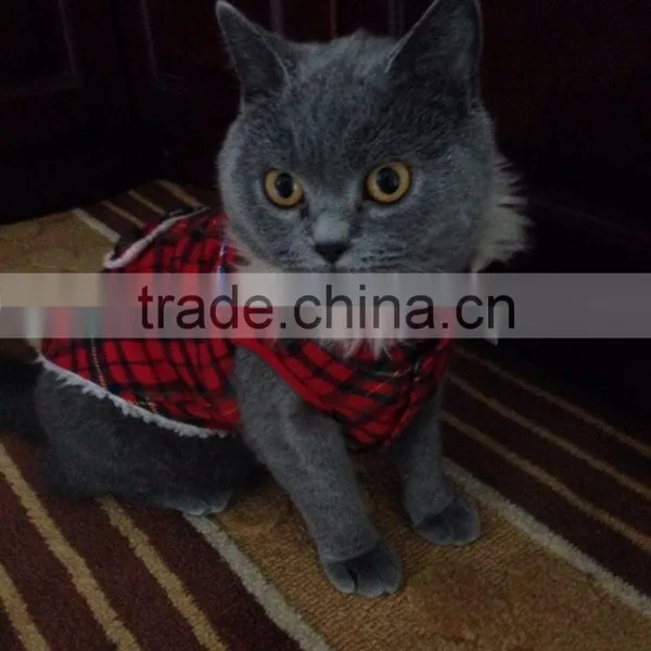 Pet Clothes