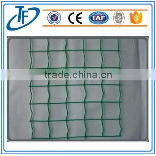 Euro Fence/ PVC Coated Holland Wire Mesh photo-3