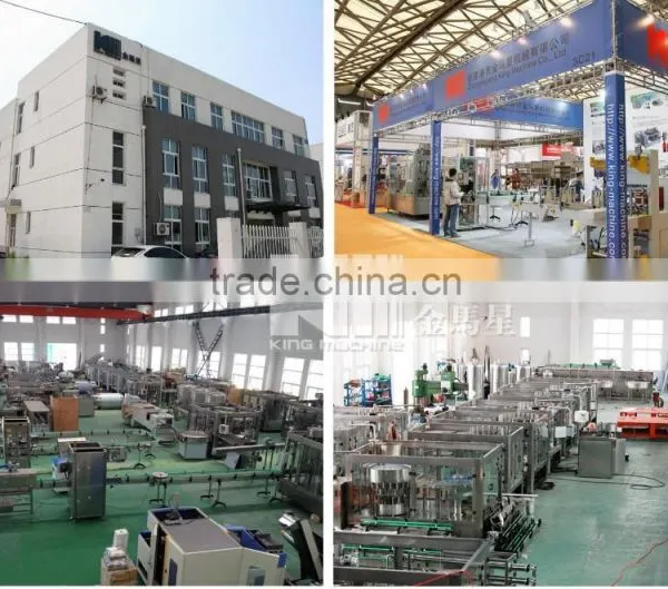 Automatic Carbonated Gas Drink Filling Machine / Bottling Plant photo-6