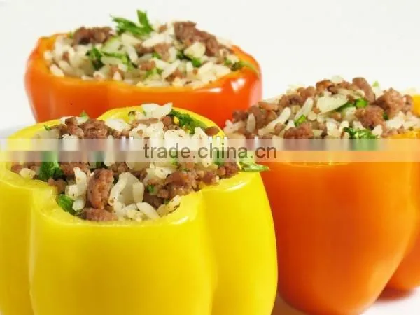 Extruded Soya Bean Protein Machine photo-6