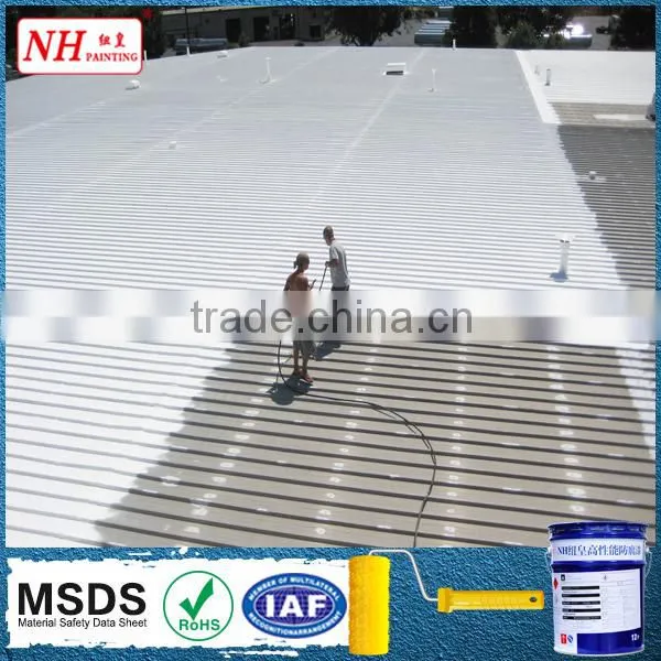 Polyurethane Paint for Flat Roof Repair photo-2