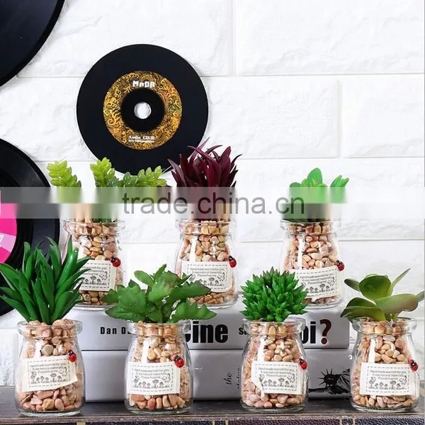 High Quality Home Garden Decoration Succulent Pots Bonsai Pot For Sale photo-2