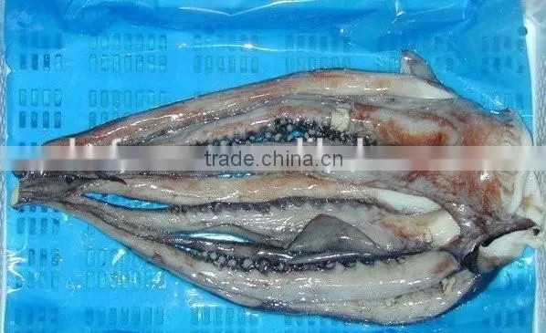 Frozen Todarodes Squid Tentacles photo-2