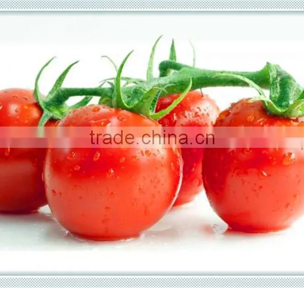 100% Pure Tomato Paste no Additives photo-5
