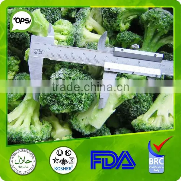 New Crop Frozen Broccoli photo-3