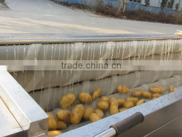 Attrition Type Potato Ginger Peeler Vegetable Fruit Washing Peeling Skin Removing Machine Ginger Peeler photo-4