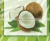 CULINARY VIRGIN COCONUT OIL - Non-RBD, 100% Natural & Zero Cholesterol photo-3