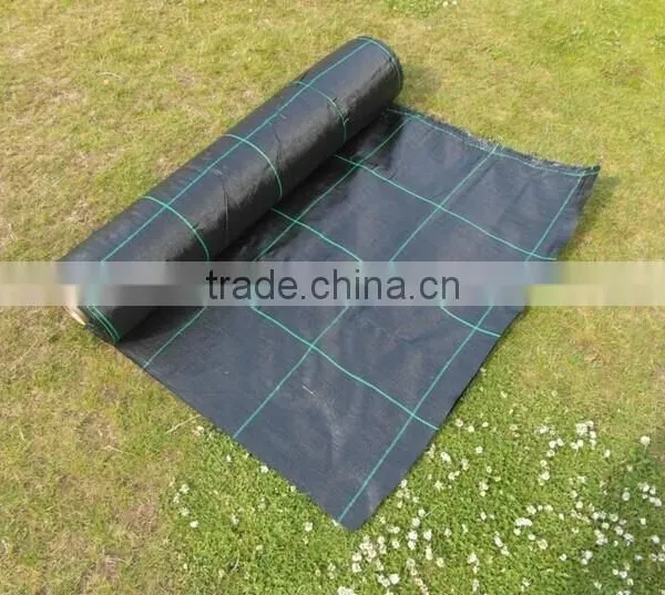 NTPEP Certificate China Manufacture Woven Geotextile Fabric With UV photo-5