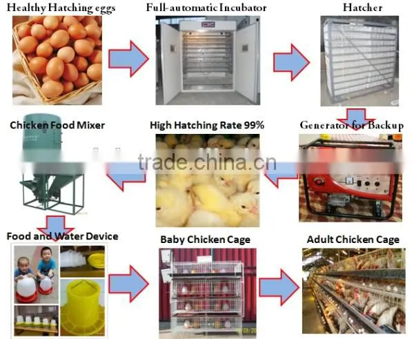 Factory Price Hot Sale Automatic Computer Control More Than 10 Years Use Egg Incubator
