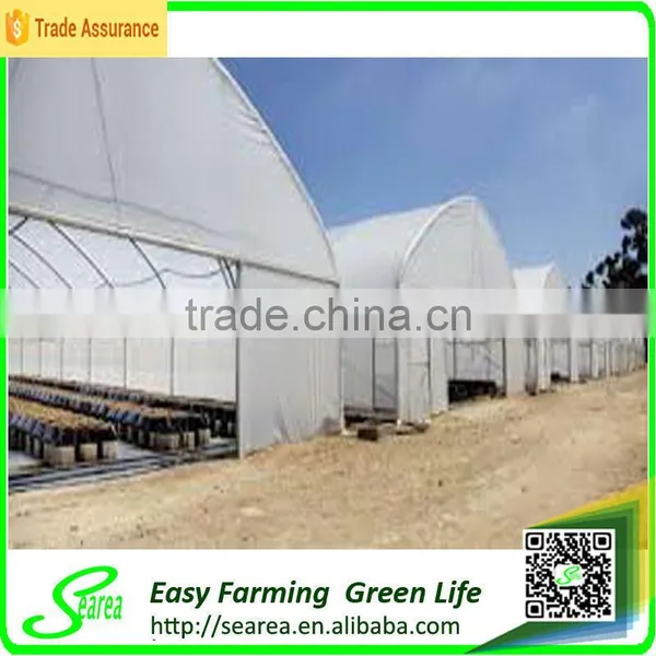 Searea Single Tunnel Greenhouse photo-4