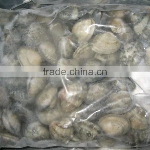 Raw Frozen Short Necked Clam photo-4