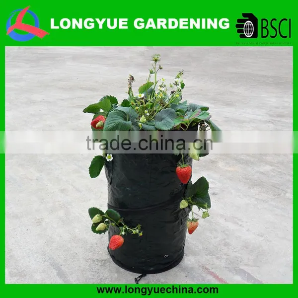 Disposable Environmental Cheap PE Plastic Grow Bags Fabric photo-2