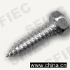 Hex Indent Head Tapping Screws Din7976