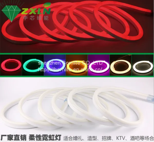 Hot Selling Silicone Neon Rope High CRI Led Neon Strip Outdoor Using IP67 Neon Strip Lights photo-4