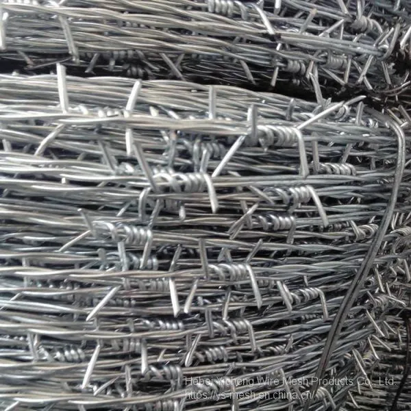 Galvanized or PVC Coated Barbed Wire Cheap Barbed Wire photo-3