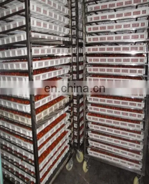 Heat Pump Dryer/Drying Machine for Fruit/Raisin photo-4